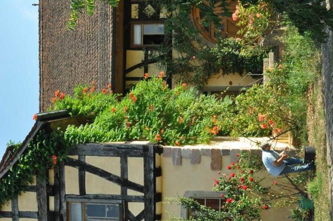 Gaestezimmer - Fuhrhalterei Maul Breuberg Экстерьер фото