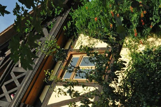 Gaestezimmer - Fuhrhalterei Maul Breuberg Экстерьер фото