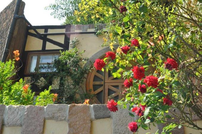 Gaestezimmer - Fuhrhalterei Maul Breuberg Экстерьер фото